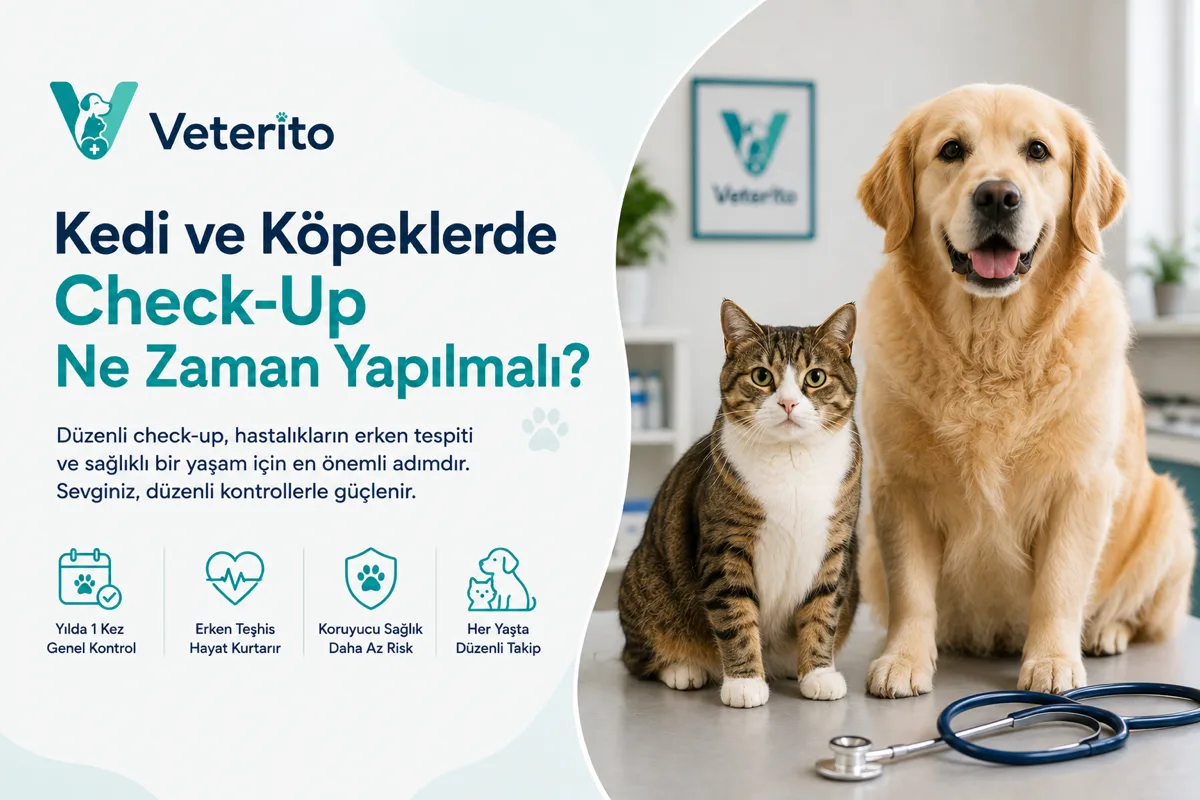 Kedi ve Köpeklerde Check-Up Ne Zaman Yapılmalı?