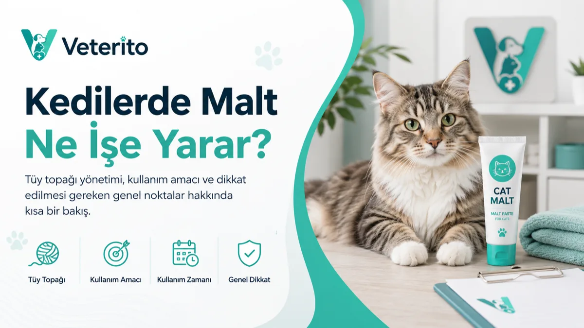 Kedilerde malt macunu ve tüy yumağı konulu yazının kapak görseli; tüy yumağının nedenleri ve malt kullanımı