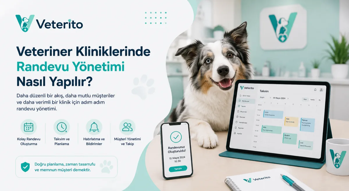 Veteriner Kliniğinde Randevu Yönetimi Nasıl Kurulur?